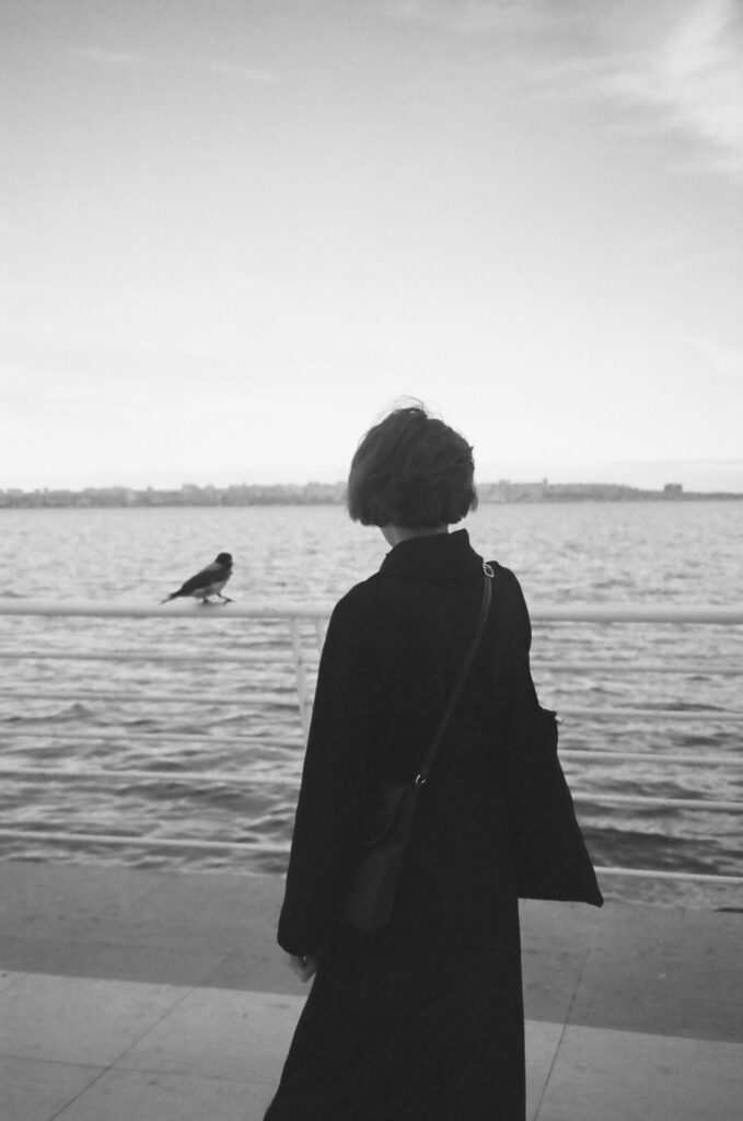 Free stock photo of aesthetic, aesthetic background, aesthetic desktop background